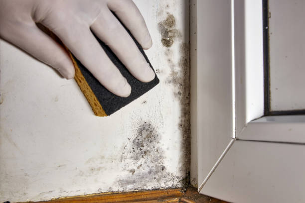 Best Indoor Air Quality Assessment  in Ocean Shores, WA